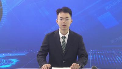 我市召开G347龙坪段路域整治提升设计汇报会