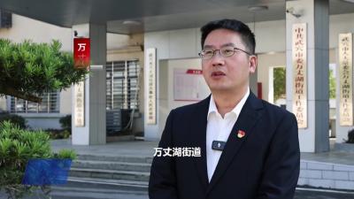 万丈湖街道：深耕“农”字文章 激活振兴动能 以实干续写高质量发展答卷