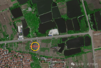 【归乡筑梦·武穴优资】龙坪镇优质资产项目招商