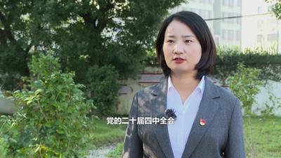 四望镇：聚焦“三农”提质效 打造和美新四望