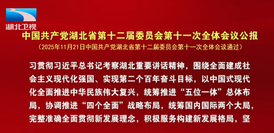 中国共产党湖北省第十二届委员会第十一次全体会议公报