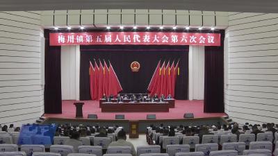 梅川镇：擘画发展新蓝图 向“产业强镇”加速迈进