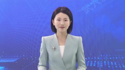 湖北大话嘻游项目专项设计汇报会召开