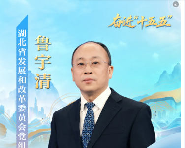 @湖北人 你关心的问题，14位厅长来解答！