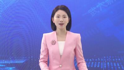 大金镇：代表履职一线 共筑和美乡村