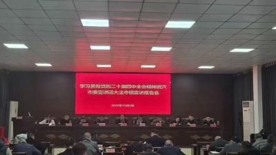 学习贯彻党的二十届四中全会精神·宣讲丨市纪委监委系统、大法寺镇、龙坪镇、市教育系统