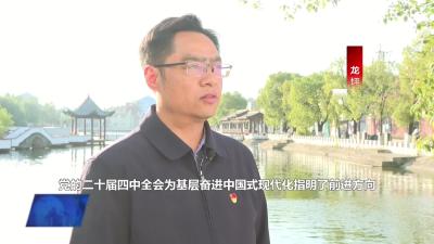 龙坪镇：锚定二十届四中全会精神 谱写高质量发展和美新篇章