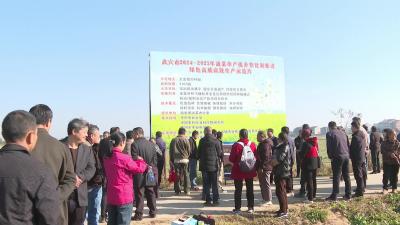 武穴：加强油菜冬管培训 赋能秋冬农业生产