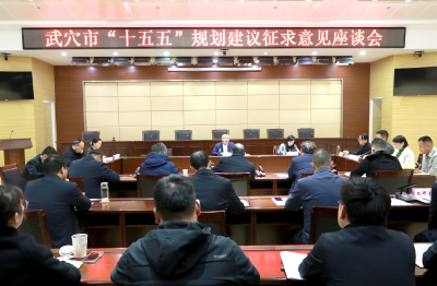 查俊主持召开“十五五”规划建议征求意见座谈会