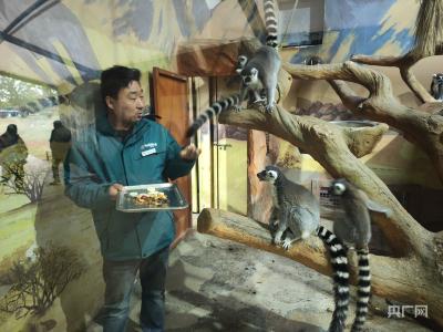 田园新曲｜荒山复绿引客来 产业融合富百姓