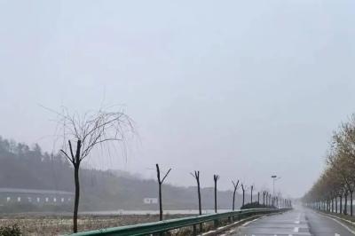 1000棵树“安家”乡野，这个镇悄悄变美了……
