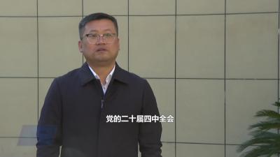 余川镇：坚持“一主两翼”发展战略 推动镇域高质量发展