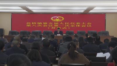 花桥镇：锚定目标勇奋进 为民履职显担当