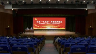 学习贯彻党的二十届四中全会精神 | 黄冈市“悦学习·跃青春”青年宣讲团走进武穴开展专题宣讲