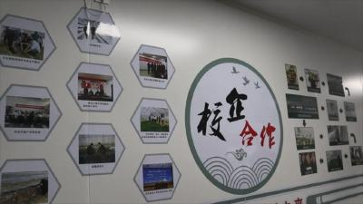 红安，突破99亿！