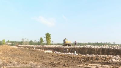 泉塘社区：大力推进“旱改水” 改出良田好风光