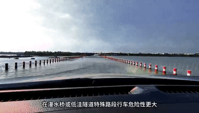 车辆落水别慌！记住这3步能保命