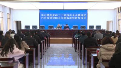 学习贯彻党的二十届四中全会精神市委宣讲团万丈湖街道宣讲报告会召开