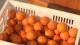 从滞销到畅销 大法寺果冻橙搭上电商快车