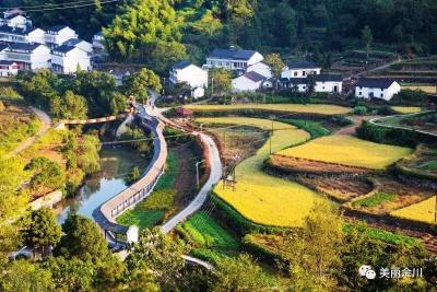 武穴市余川镇龙文村：脚步丈量纾民困，产业“孵”化拓富路