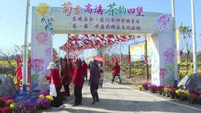 四望镇首届“茶·菊”中医药群众文化活动开幕