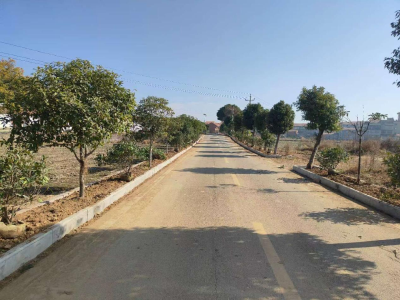 全域植绿+路域整治！花桥镇双线发力，乡村颜值“狂飙”