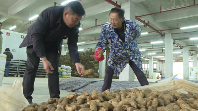 这些宜昌“土特产”，凭啥值千亿？