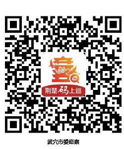 巡 察 公 告