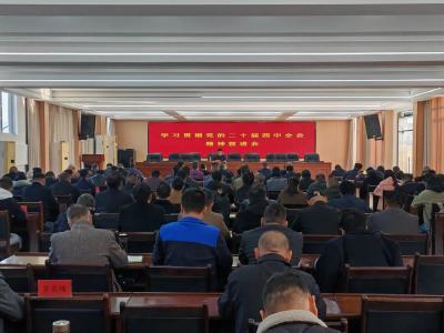 学习贯彻党的二十届四中全会精神·宣讲丨组织系统、花桥镇
