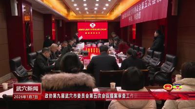 政协第九届武穴市委员会第五次会议提案审查工作圆满完成