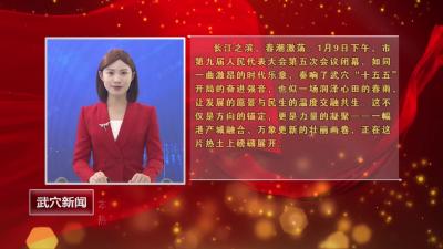 本台评论：此刻武穴  风正帆悬——热烈祝贺武穴市第九届人民代表大会第五次会议胜利闭幕