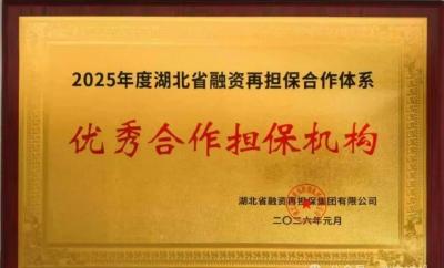为企纾困！武穴中小担保公司荣获两项省级荣誉