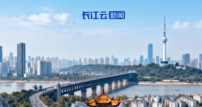 向高而攀！湖北全力打造这“四个高地”
