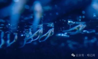 十年之变，湖北答卷