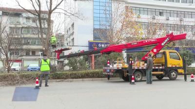 市园林中心：防范特殊天气 保障公共安全