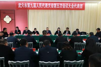 查俊参加梅川、大金代表团审议