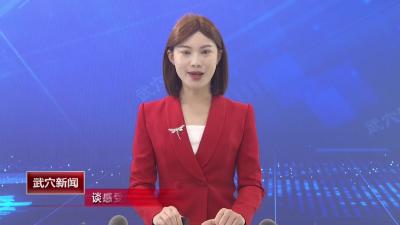 谈感受 话发展 代表们热议政府工作报告