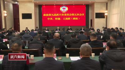 查俊参加市政协九届五次会议联组一组讨论