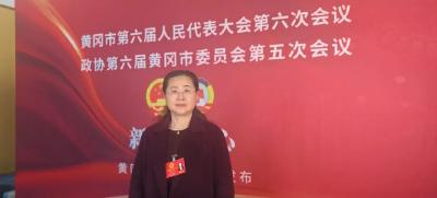 黄冈两会传真丨话心声、议报告、谋发展 武穴代表团的暖心声音