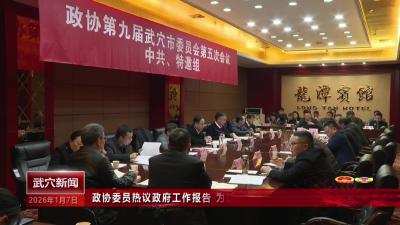 政协委员热议政府工作报告 为武穴发展建言献策