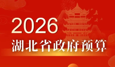 2026年湖北省政府预算解读