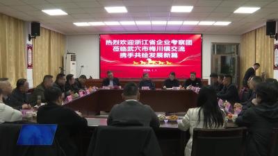 浙江投资考察团赴梅川镇考察洽谈