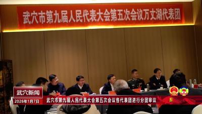 武穴市第九届人民代表大会第五次会议各代表团进行分团审议