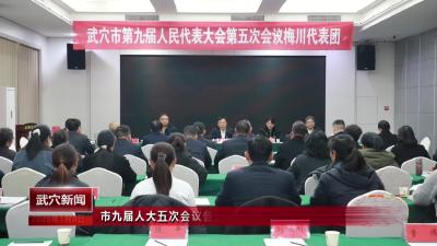 市九届人大五次会议各代表团继续审议各项报告