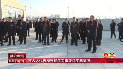 市人大代表视察民生实事项目实施情况