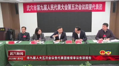市九届人大五次会议各代表团继续审议各项报告