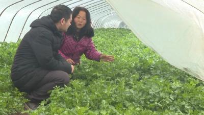 新闻速览 | 武穴乡村儿童书信公益活动结项 ◆ 市科经局2026首期“科经大讲堂”开讲