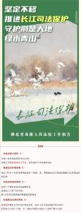 2026湖北两会丨数读湖北省高级人民法院工作报告