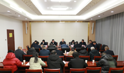 查俊主持召开春节期间文化促消费活动推进会