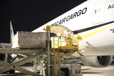 翼展宏图 行稳致远——鄂州花湖国际机场2025年发展纪实